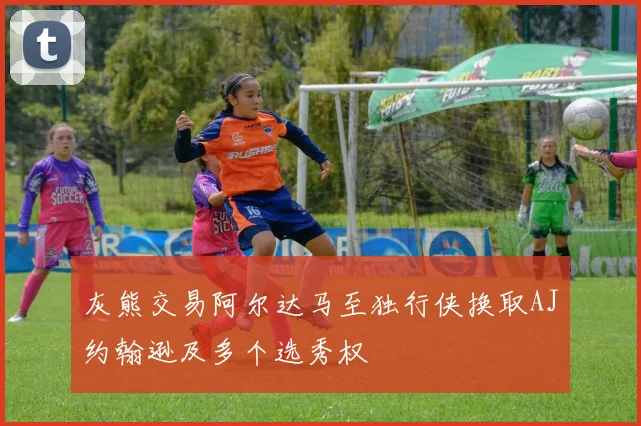 灰熊交易阿尔达马至独行侠换取AJ约翰逊及多个选秀权